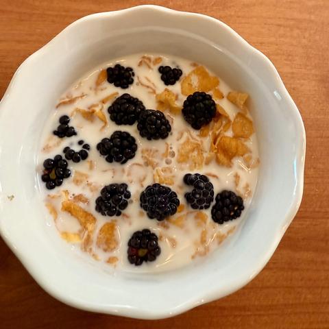 Bowl of cornflakes cereal with milk and blackberries.
