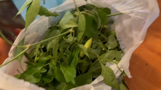 Video of a garden harvest.