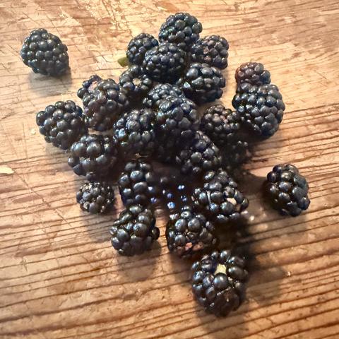 A small pile of Blackberries on a table.