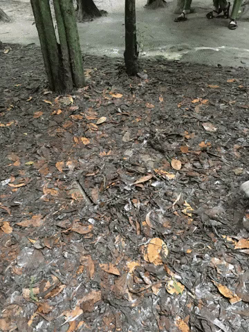 Man popping out of tunnel. 
