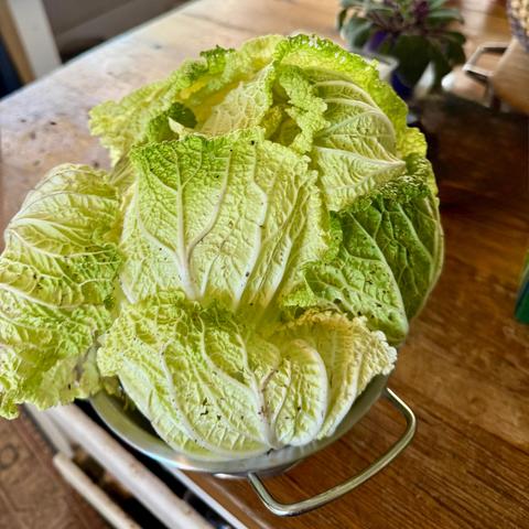 Cabbage head on a table