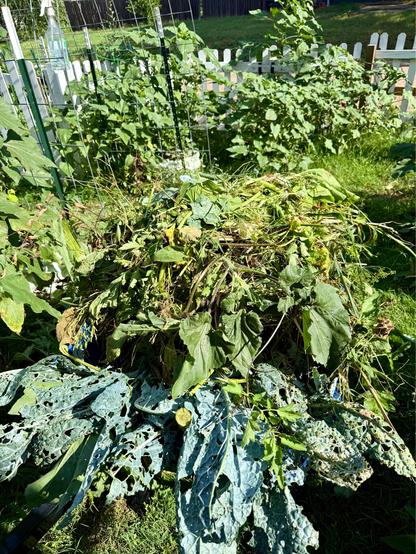 Pile of leaves and weeds in a wheelbarrow