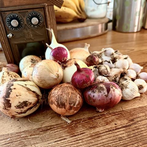 Onions and garlic sitting on a table 