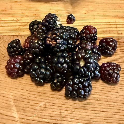 Blackberries on a table.