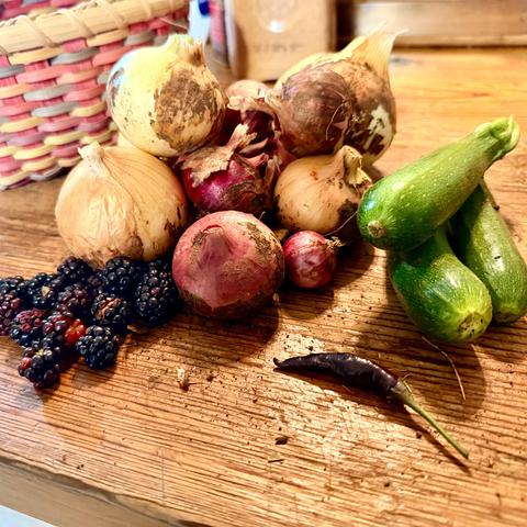 Onions, blackberries, zucchinis and a purple jalapeño on a table in front of a basket.