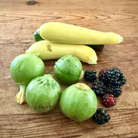 Avocado quash, zucchini and blackberries on a table.