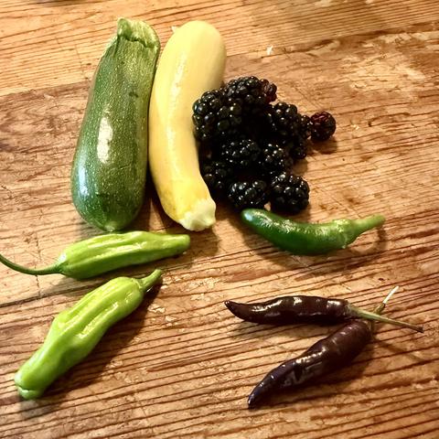 Zucchini, shishito peppers, green and purple jalapeño, and blackberries on a wood table. 