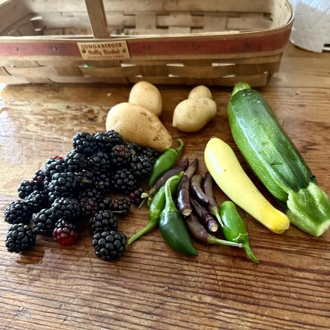 Peppers, potatoes, blackberries and zucchini on a table.