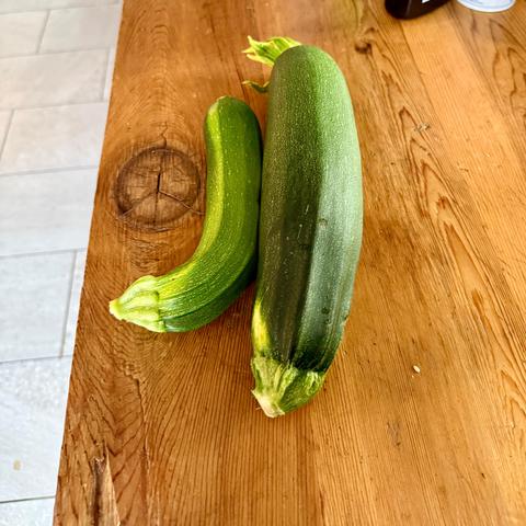 Two large zucchini on a table.