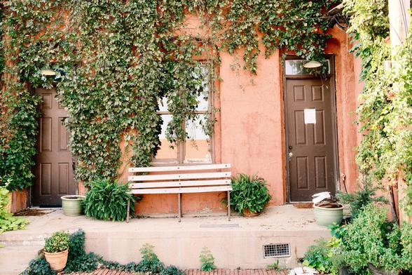 Ivy growing on a building entrance.