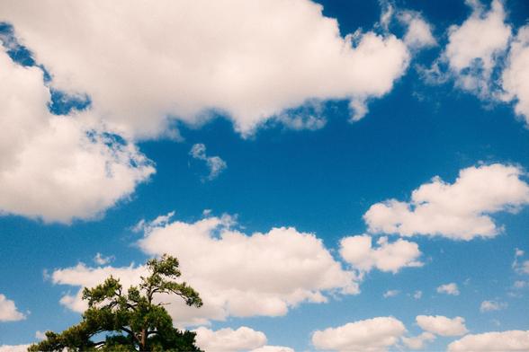 White puffy clouds against a blue sky with the top of a pine tree in the lower left corner.